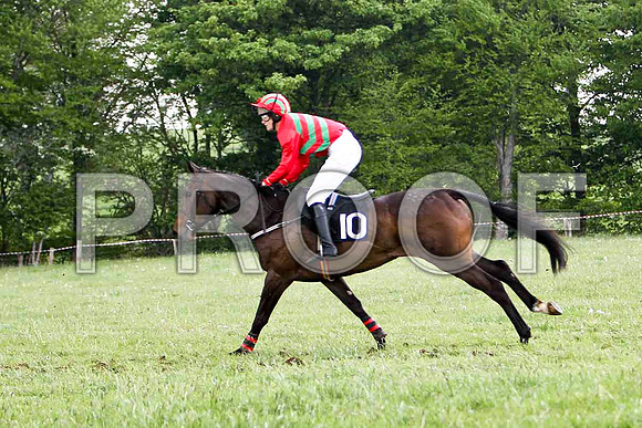 Educated Guess , 7th, Jockey Ms C V Annan  - FT8E2580-e