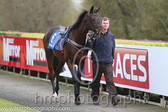 07 Sarah Battle and A F O'Neill - - 07th (6 ,salmon pink, dark green hoop ) Trainer - G Quirk