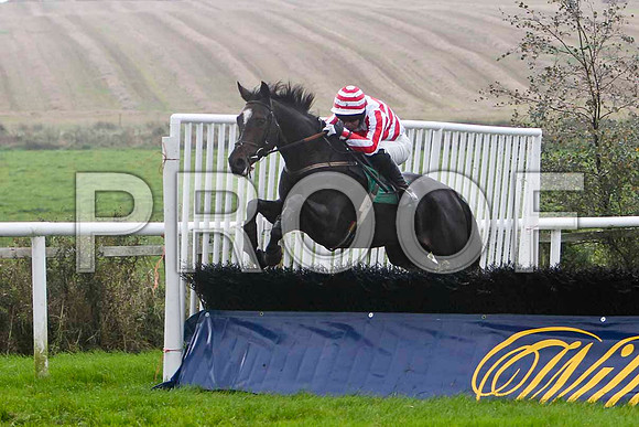 Charlie Swift 5th, Jockey R M Moran - FT8E5238-e