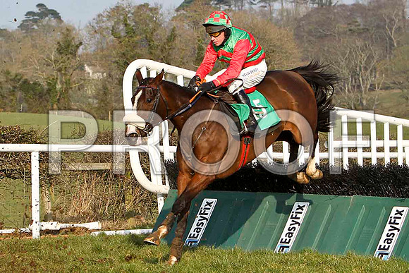Rowlands Express - 12th, Jockey P Carberry - FT8E0481-e