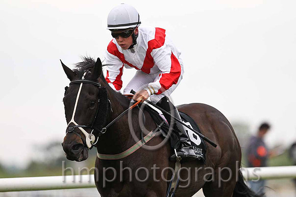 R6 - San Diego Prince 13th, Jockey L F Roche  - FT8E0562-e