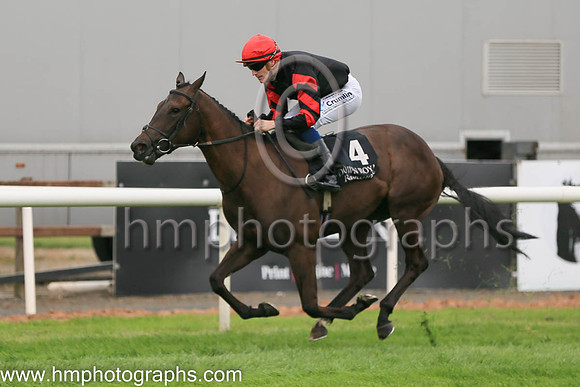 01st Ocean Jewel (4 , black ) Jockey: W J Lee , Trainer: W McCreery