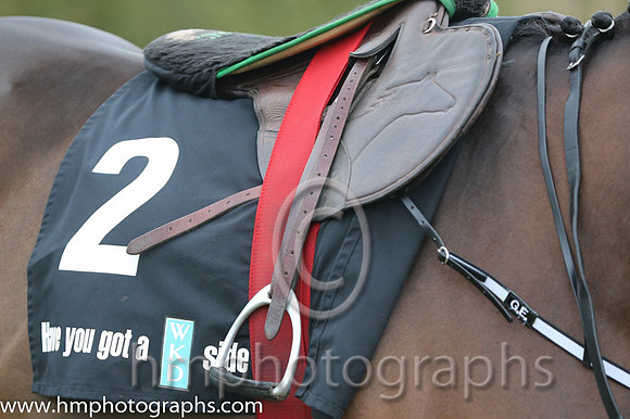 07 Tiger Roll and B J Cooper - PU - 07th (2 ,maroon white star ) Trainer - G Elliott