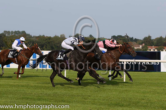 01 Toe The Line and F M Berry - - 01st (9 ,pink, black hoop ) Trainer - J E Keily