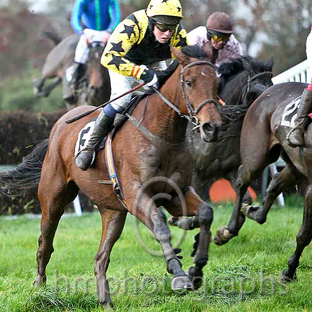 Ashes House , Jockey D L Queally - winner - CU2D9980-e