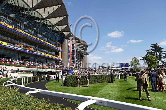 Parade Ring at Ascot - IMG_9866-e