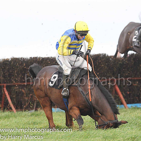 SHIPWRECK and N McParlan ( 9 , ROYAL BLUE  YELLOW HOOPS; yellow sleeves; yellow cap ) Trainer: C.A. McBratney , Owner : Templeburn Racing Syndicate