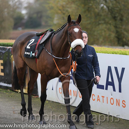 07 Tiger Roll and B J Cooper - PU - 07th (2 ,maroon white star ) Trainer - G Elliott