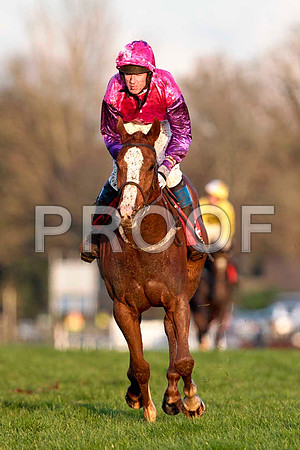 Cabra Cruizor - 13th , Jockey Mr J T Carroll - CU2D0003-e