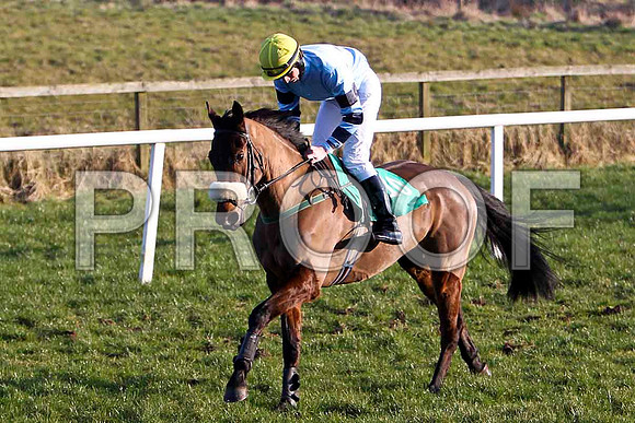 Mersey - 7th, Jockey Mr B G Crawford - FT8E0570-e