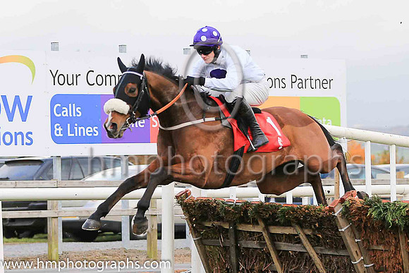 04th My Manekineko and P Townend ( 1 , white, purple disc ) Trainer - J Nash , Owner - Ka Hon Tham