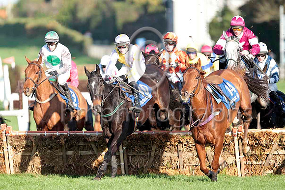 Kembla Grange (9) 6th, Lough Coi (10) 8th & Ipsos Du Berlais (2) Winner - CU2D9751-e