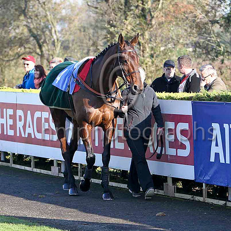 Blazing Tempo , 3rd - Jockey P Townend - FT8E7027-e