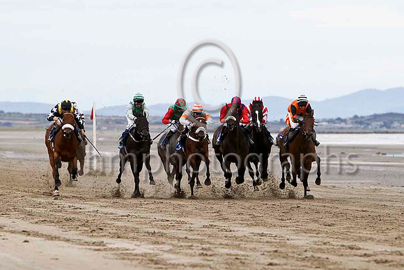 Racing on the beach at Laytown  - FT8E4131-e