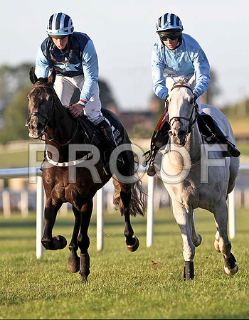 Moon Cove 11th , Jockey M W Bowes & Casual Encounter 10th , Jockey K K Woods- FT8E1208-e2