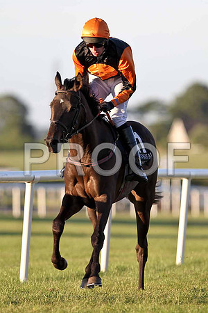 Lock Breaker 9th, Jockey S Clements - FT8E1205-e