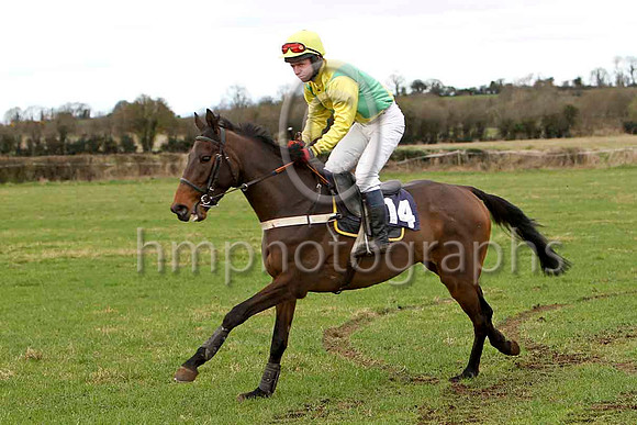 Noah's Boy & N McParlan - 5th - FT8E9967-e