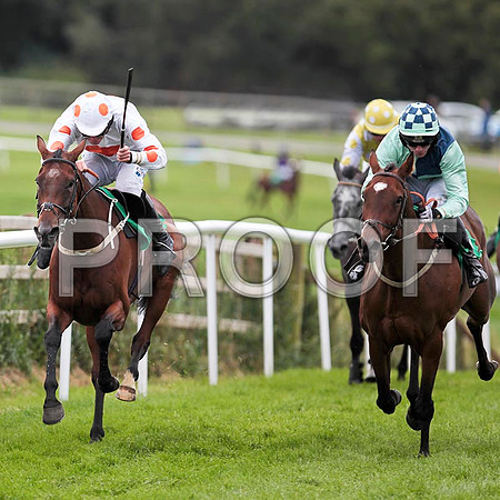 King'sandQueen's - 2nd, Jockey Andrew J McNamara   , The Grey Express - 4th , Jockey P Townend & Cool Article - Winner , Jockey S G McDermott- CU2D9478-e2