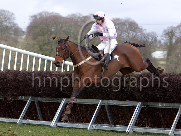 Second Race - Corey's Wee Rocket 6th, jockey Ms H Curran - CU2D7071-e3a4j