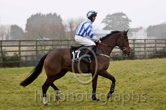 Connie De Mar - Jockey Mr R M Johnston - 16th - CU2D1794-e