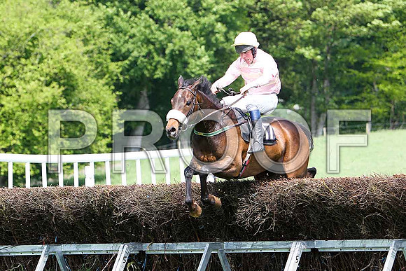 First Race - Spice Hill (17) Winner, Rider JD Moore - CU2D9546-e
