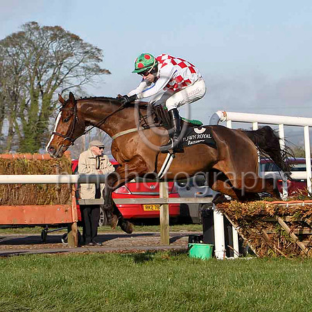 Selection Box - Winner , Jockey - E J O'Connell FT8E6886-e