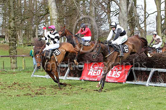 Third Race - Oh Jakers (31) , Trust Ben (35) , Ballycassel (6), Finner Express (24) - CU2D7091-e