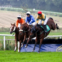 Nuggets of Wisdom , Castle Ranger & Wango - FT8E5272-e