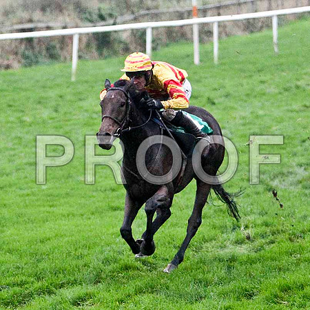 Shane Rock , 2nd - Jockey Andrew J McNamara - FT8E5502-e