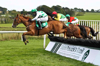 Wise Butler 5th, Jockey Mr B T O'Connell - FT8E2997-e