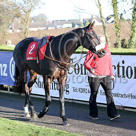 Roi Du Mee, 2nd Jockey - D N Russell - FT8E7021-e