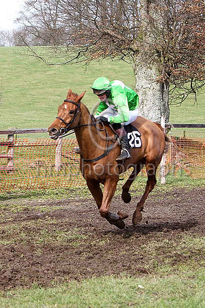 Third Race - Gris Lord (26) 4th Div 1 - CU2D7103-e