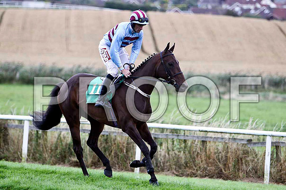 Maddoxtown - 4th , Jockey D N Russell  - FT8E3911-e