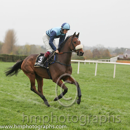 02 Wonderful Charm and Sam Twiston-Davies - - 02nd (3 ,light blue, dark blue shevrons ) Trainer - P F Nicholls