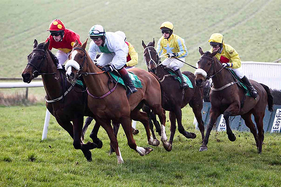 Shantalla - 7th , Ounaja - 5th, Couleur de La Loi - 8th , Mister Jim Jim 9th & - Killegney - 6th -FT8E0424-e