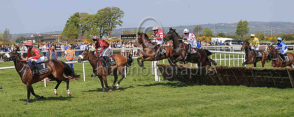 12th Oromo and R C Colgan ( 19 , red, white star ) Trainer - K Thornton , Owner - B Parker