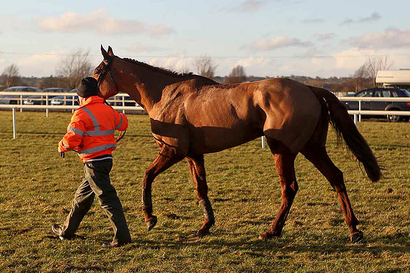 Rocklet (11) Fell - Jockey , M J Bolger - CU2D3297-e