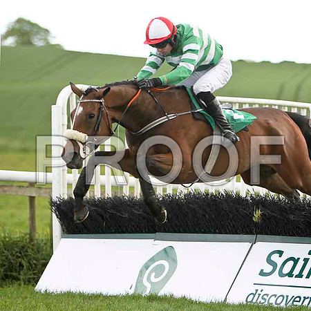 Leblon , Winner , Jockey S G McDermott - FT8E2924-e2