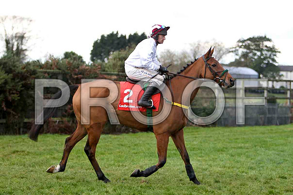 Pandorama , Jockey Paul Carberry - Withdrawn - CU2D1183-e