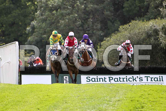 Almanyan, winner , Foreigner 2nd, City Hustler 3rd & Breeze with Ease 4th - CU2D1672-e