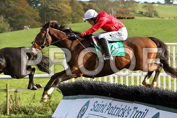 New Town Bay , Jockey Andrew J McNamara - 3rd - CU2D9260-e
