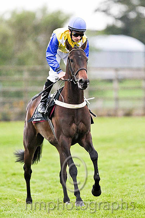 R7 - Notgonnagiveup 11th, JOckey D P McDonogh - FT8E0581-e