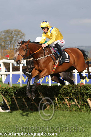 04 Atan and D N Russell - - 04th (1 ,yellow, royal blue epaulettes ) Trainer - P J Flynn