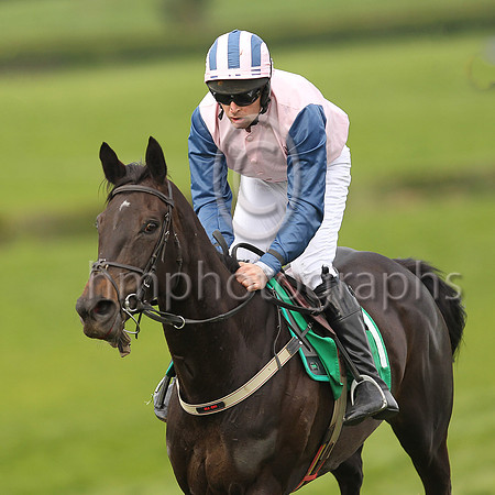 01st MOLLYKING and M J O'Hare ( 11 , PINK; blue sleeves; pink  blue striped cap ) Trainer: J.G. Cosgrave , Owner : Racing Carnglave