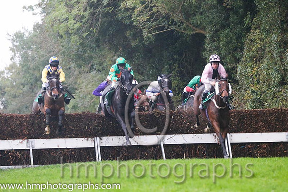 06 Molinero and P T Enright - - 06th (8 ,Pink, dark pink panel ) Trainer - J R Finn
