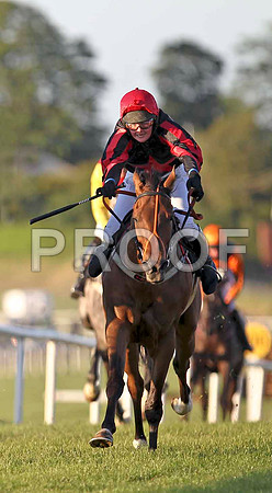 Henro Boy 4th, Jockey Miss H Curran - FT8E1201-e3