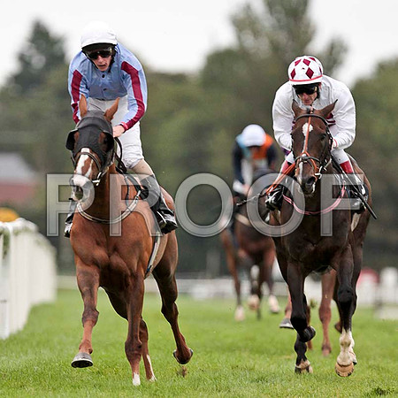 End Of The Affair & Zaralabad - CU2D9621-e