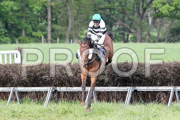 Race 6 Div 1 - Belfry Boy (3) 7th, Rider  B F Brabazon  - CU2D9782-e