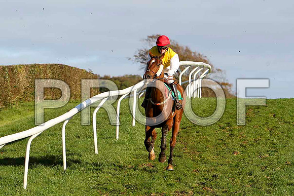 Tawrific Laois - Jockey S E Butler - 3rd - CU2D9374-e