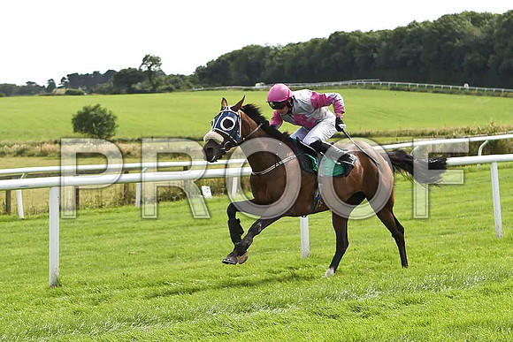 Greengables 8th Jockey, S G McDermott - FT8E2961-e